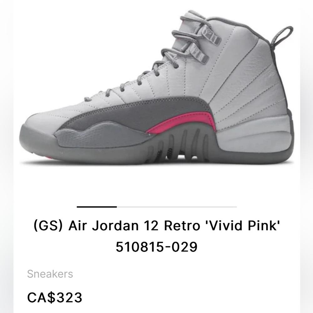 Air jordan retro 12 gg